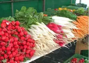 خصائص أنواع الخضار الطبية