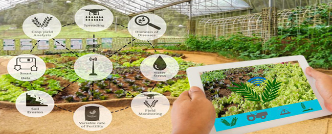 Implementation and Patent Registration of Smart Farm and Greenhouse Management Plan by a Faculty Member of Qom University of Technology